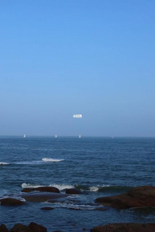 在青岛哪个地方看海比较好