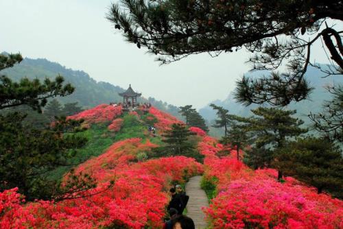 湖北麻城十大景点