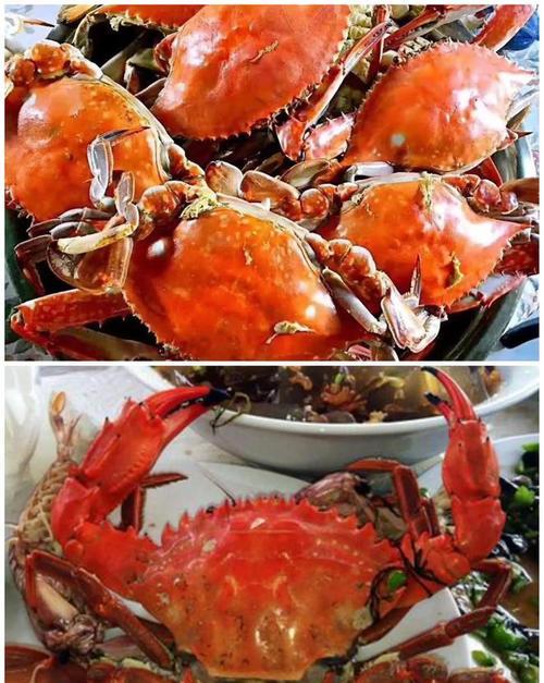 即墨哪里吃海鲜的比较好