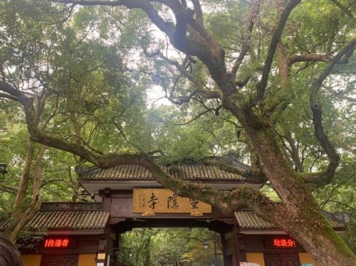灵隐寺地铁做到哪一站
