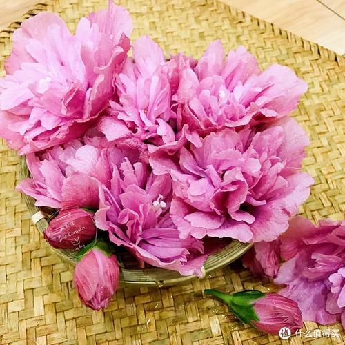 泡鲜花的方法