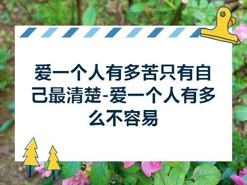 爱一个人有多苦歌曲原唱