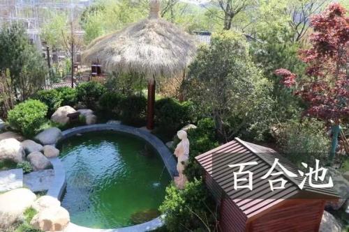青岛即墨哪个温泉比较好
