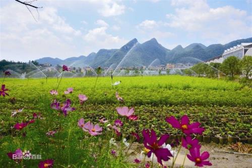 毕节是什么地方
