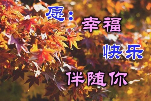 周末祝福语最温馨的话