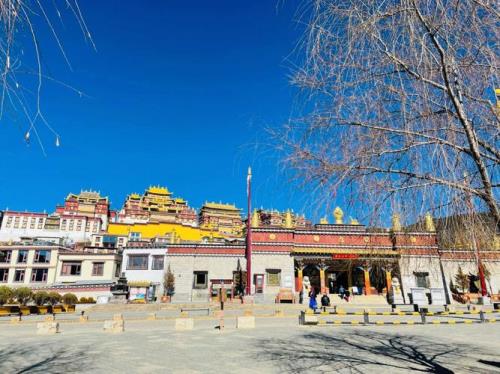过年去香格里拉旅游适合吗