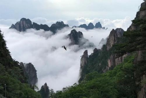 夏天去黄山热吗
