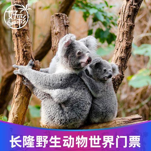 广州长隆动物园门票是多少