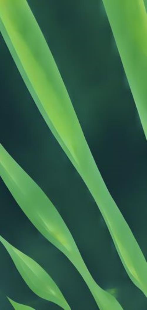 分辨率3040x1440是几k