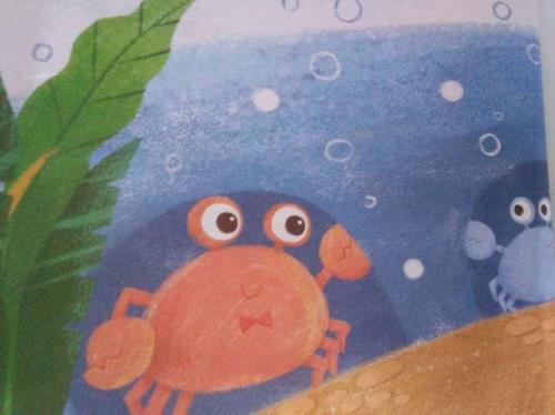 小青蟹回来了读后感怎么写