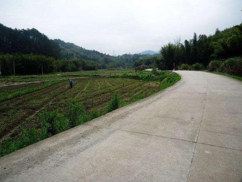 阜南县农村修路户户通标准