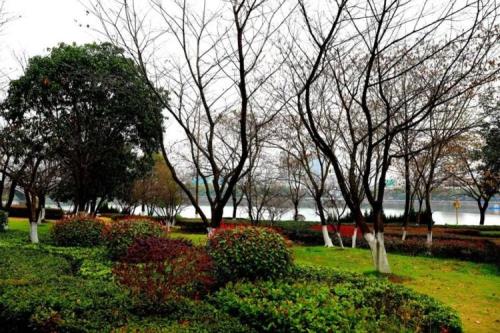 春天宜昌哪里风景好