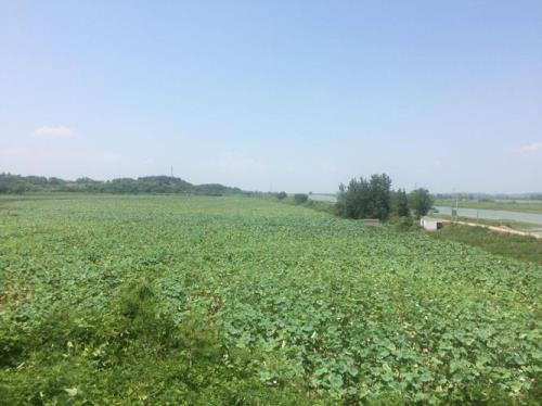 鄂州梁子湖区为什么发展不起来