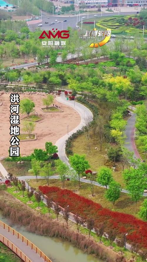 安阳洪河湿地公园要门票吗