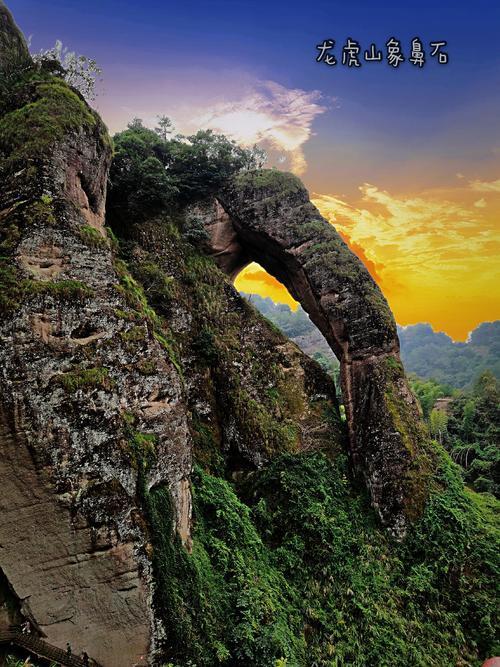 龙虎山和三清山的区别