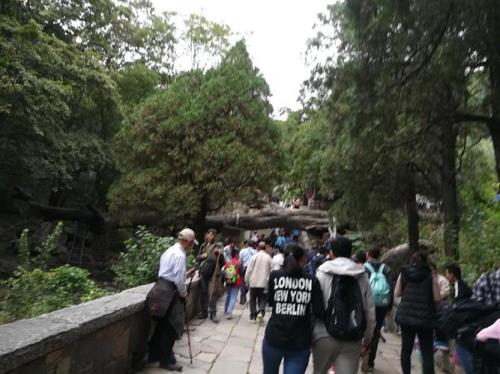 登泰山都需要准备什么