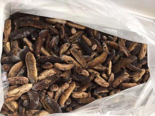 印尼海参和大连海参的区别