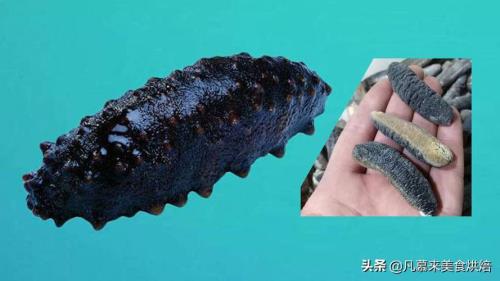 智利海参为什么便宜