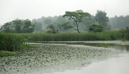 江苏雨季是什么时间