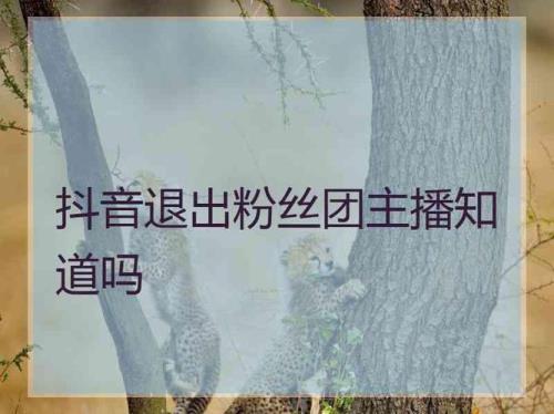 退灯牌对主播有影响吗
