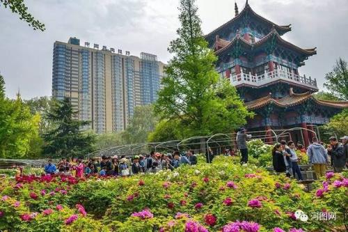 洛阳旅游年票王城公园能用吗