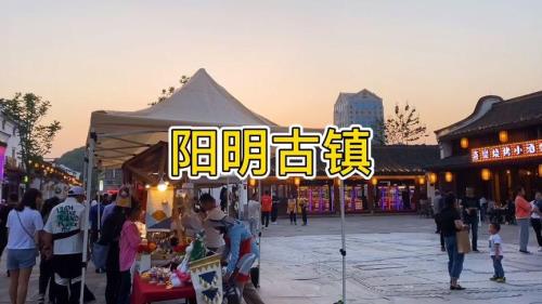 阳明古镇营业时间