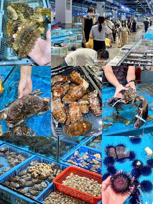 东莞哪里有海鲜市场