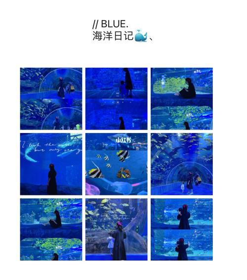 兰州极地海洋世界朋友圈说说