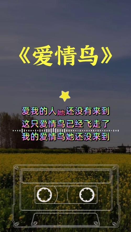 小鸟飞走了歌词