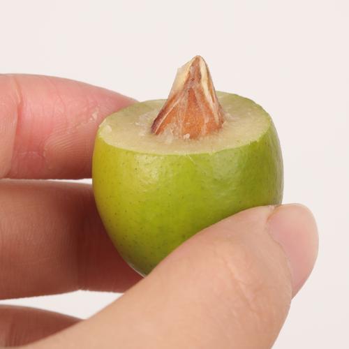 福州有哪些水果特产