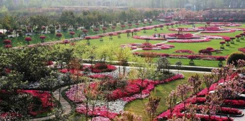 花舞人间什么时候去最好
