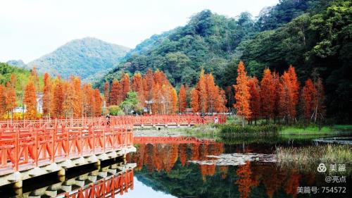 广州这个季节哪里好玩