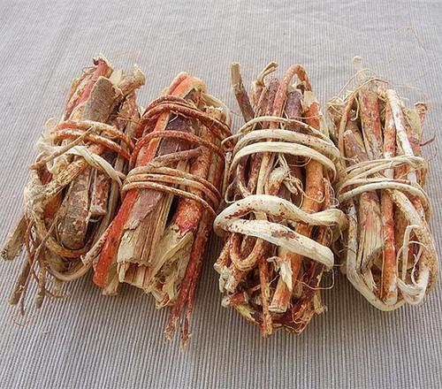 猫能吃五指毛桃吗