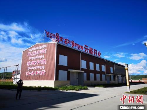 青海小牦牛牛奶为什么那么便宜