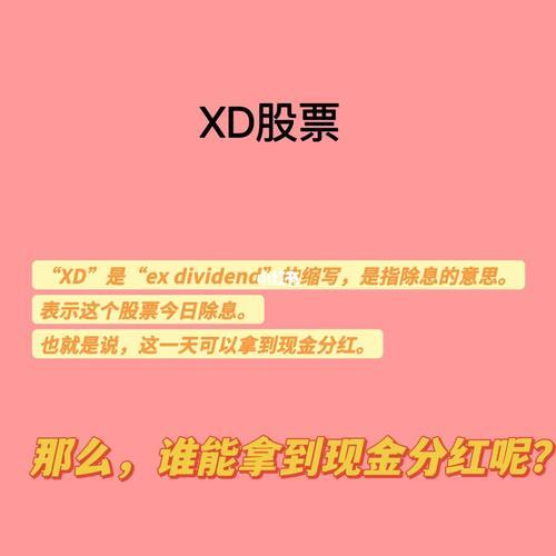 XD这个缩写是什么意思呢