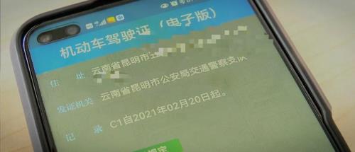 报考驾驶证审核通过需要几天