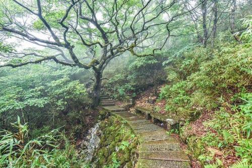 黄茅尖夏天温度