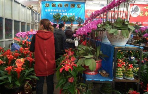 洛阳花卉市场几点关门