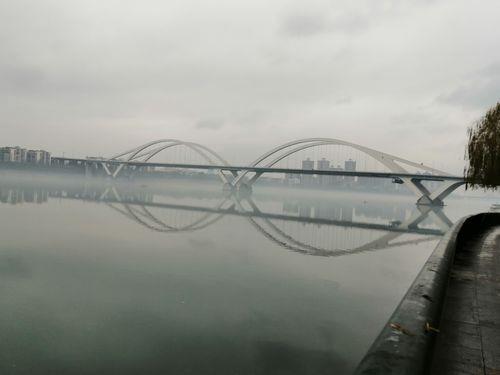 柳州多式多样的桥有哪些