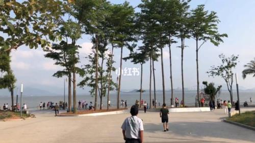 深圳湾公园地铁几号线