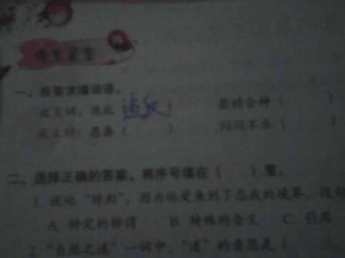 旅行的近义词是什么
