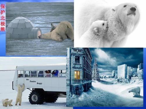 北极的极多少米