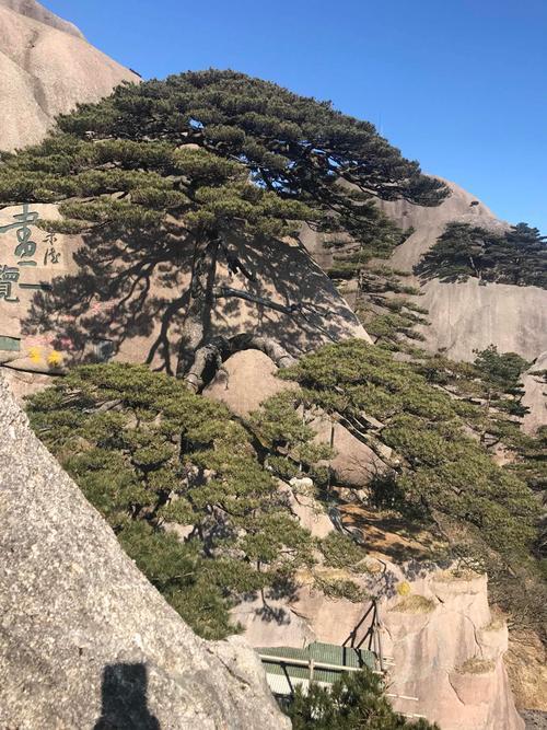 带小孩玩黄山是否可以