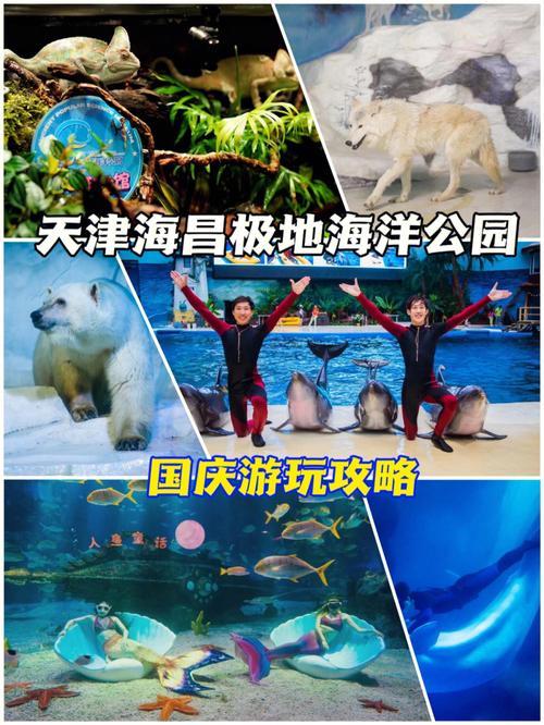 极地馆营业时间