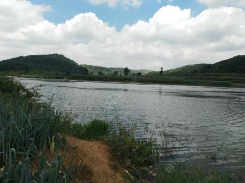 祝家洞水库可以钓鱼吗