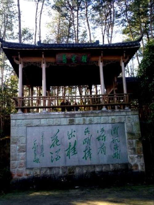 千岛湖桂花岛怎么去