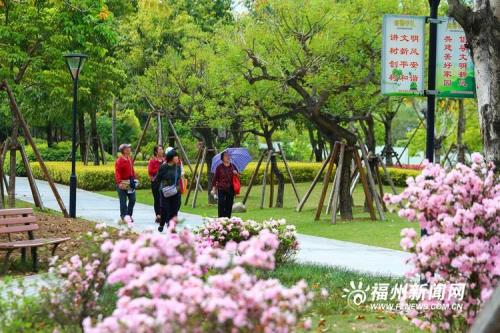 福州哪里可以捡花