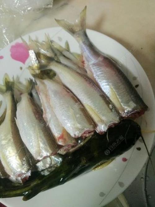 小白漂子鱼咋做