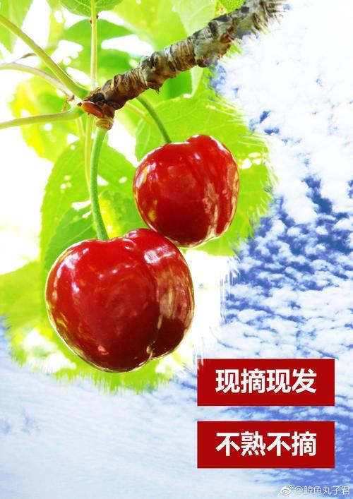 十月川西有什么水果