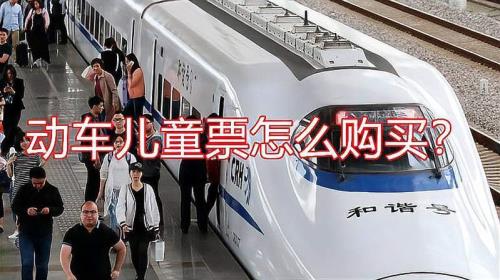 动车可以买儿童票吗